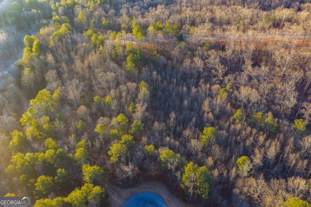 Lot 2 Blalock Mountain Road Talking Rock GA 30175
