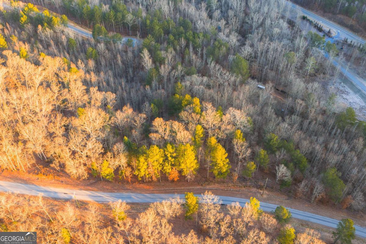 Lot 2 Blalock Mountain Road Talking Rock GA 30175