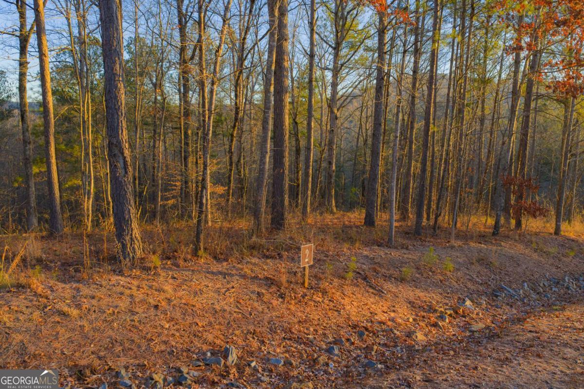 Lot 2 Blalock Mountain Road Talking Rock GA 30175