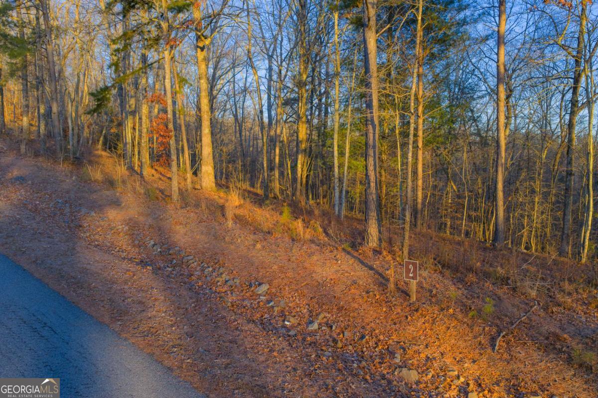 Lot 2 Blalock Mountain Road Talking Rock GA 30175