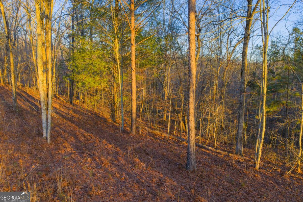 Lot 2 Blalock Mountain Road Talking Rock GA 30175