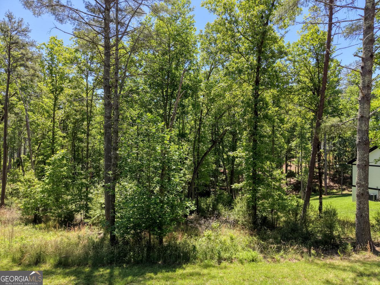 Lot 167 Highland Park Blairsville GA 30512