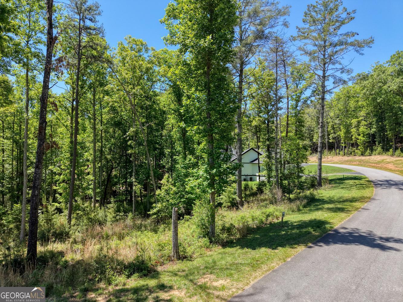 Lot 167 Highland Park Blairsville GA 30512