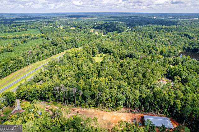0 Braswell Lake Road Gray GA 31032