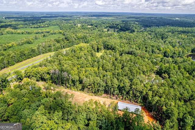0 Braswell Lake Road Gray GA 31032