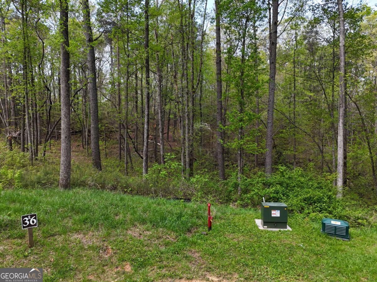Lt 36r Hilton Drive Ellijay GA 30540