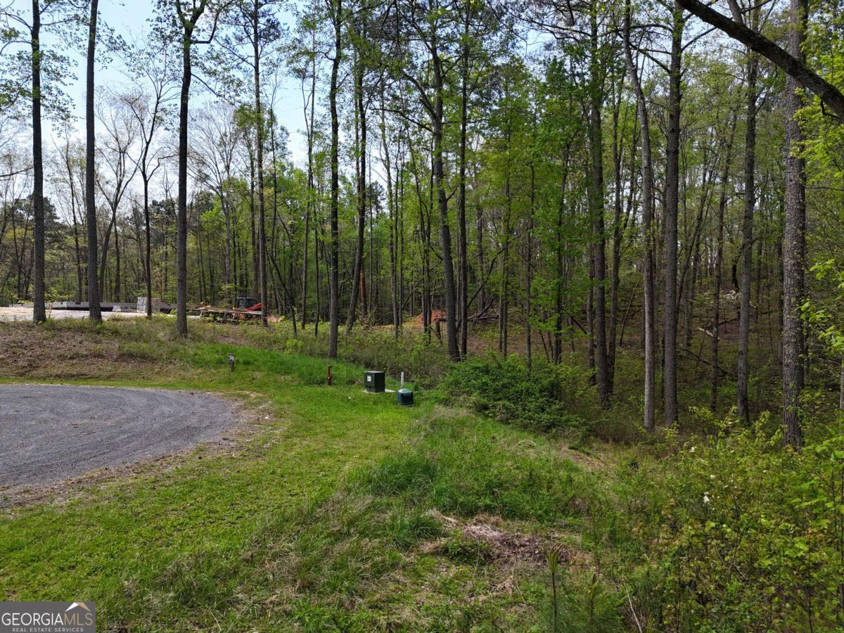 Lt 36r Hilton Drive Ellijay GA 30540