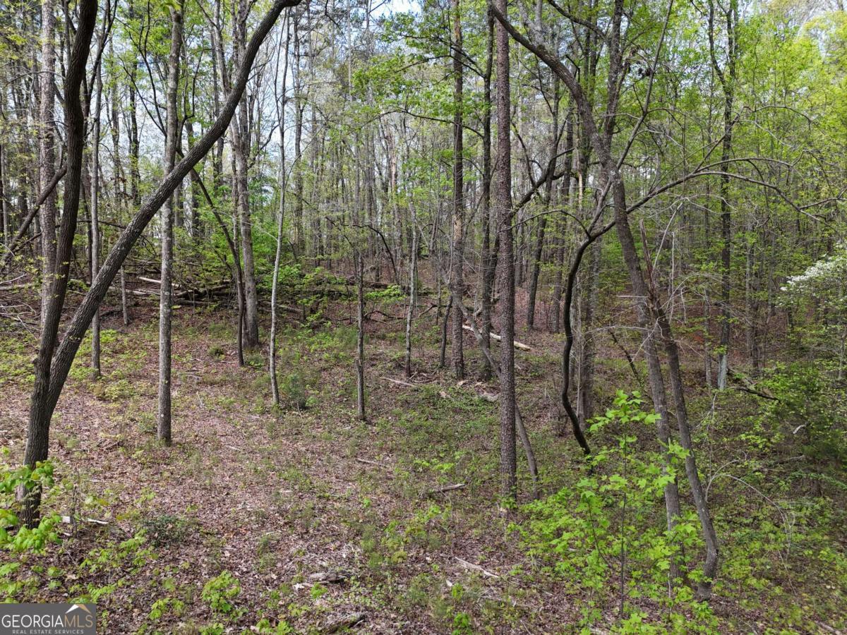 Lt 36r Hilton Drive Ellijay GA 30540