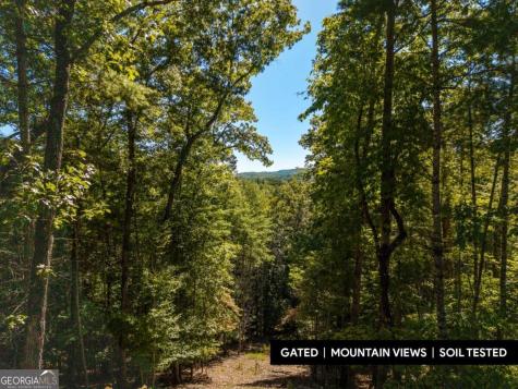 Lot 62 Ridge Drive Blue Ridge GA 30513