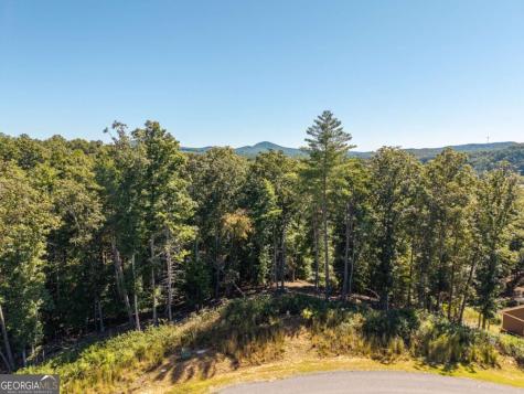 Lot 62 Ridge Drive Blue Ridge GA 30513