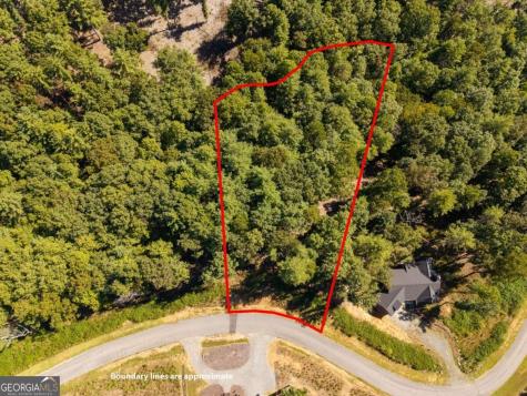 Lot 62 Ridge Drive Blue Ridge GA 30513