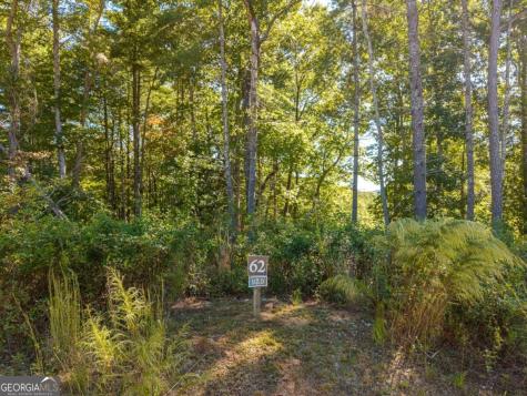 Lot 62 Ridge Drive Blue Ridge GA 30513