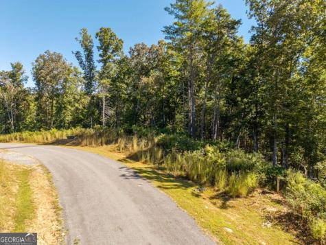 Lot 62 Ridge Drive Blue Ridge GA 30513
