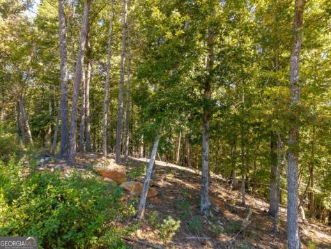 Lot 62 Ridge Drive Blue Ridge GA 30513