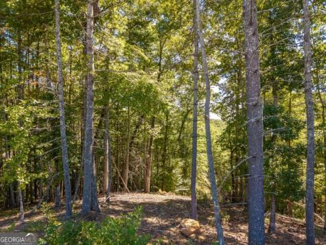 Lot 62 Ridge Drive Blue Ridge GA 30513