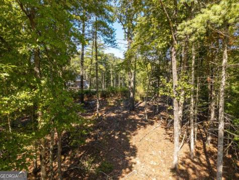 Lot 62 Ridge Drive Blue Ridge GA 30513