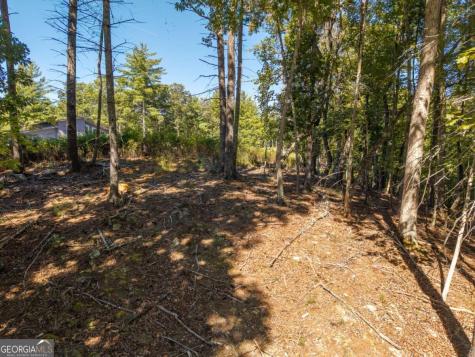 Lot 62 Ridge Drive Blue Ridge GA 30513