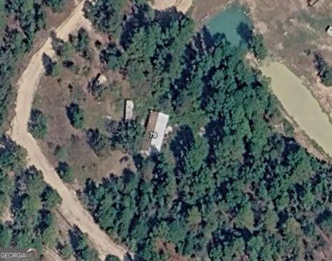 79 Governors Drive Box Springs GA 31801