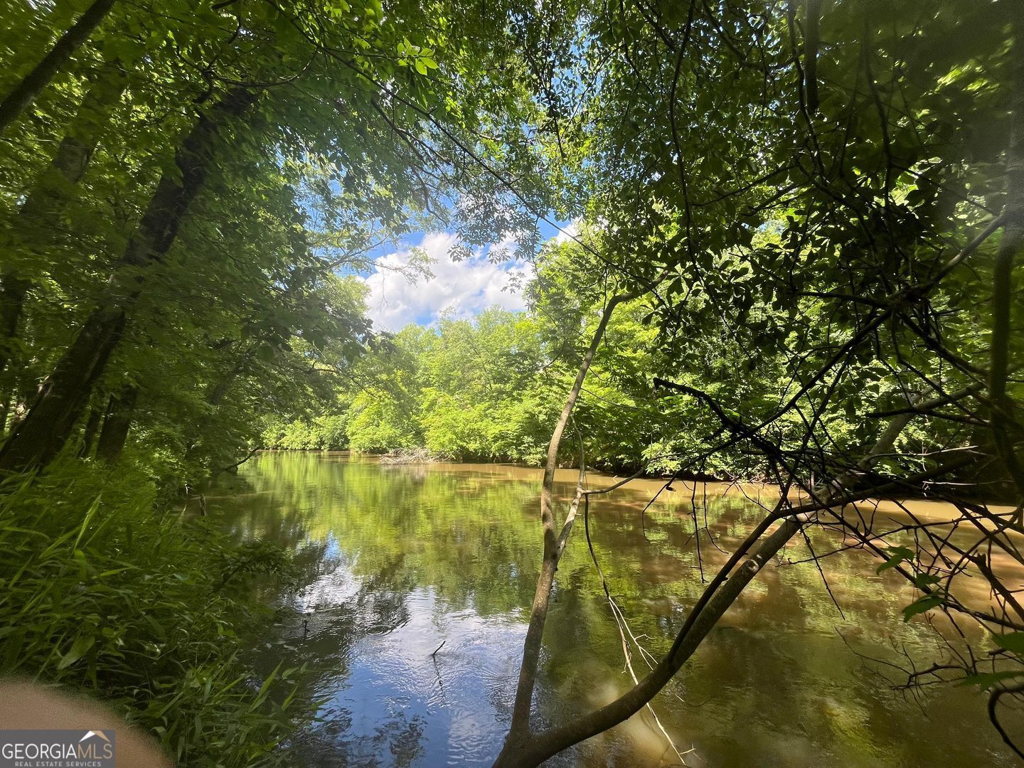 0 River Lane Juliette GA 31046