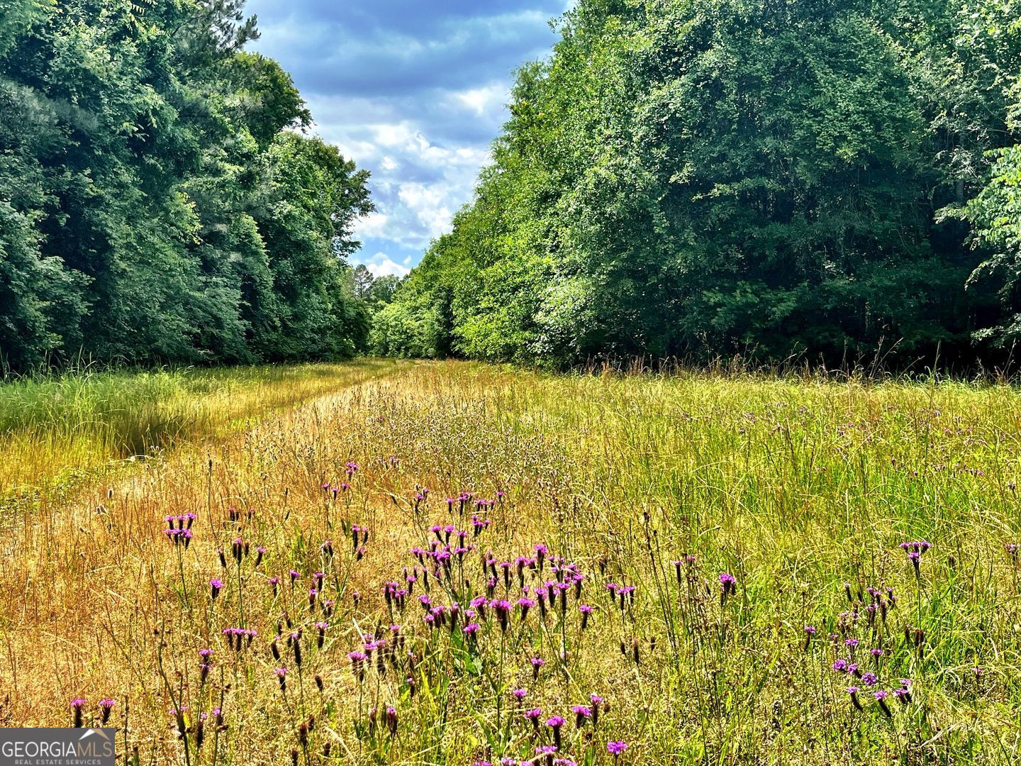 0 River Lane Juliette GA 31046