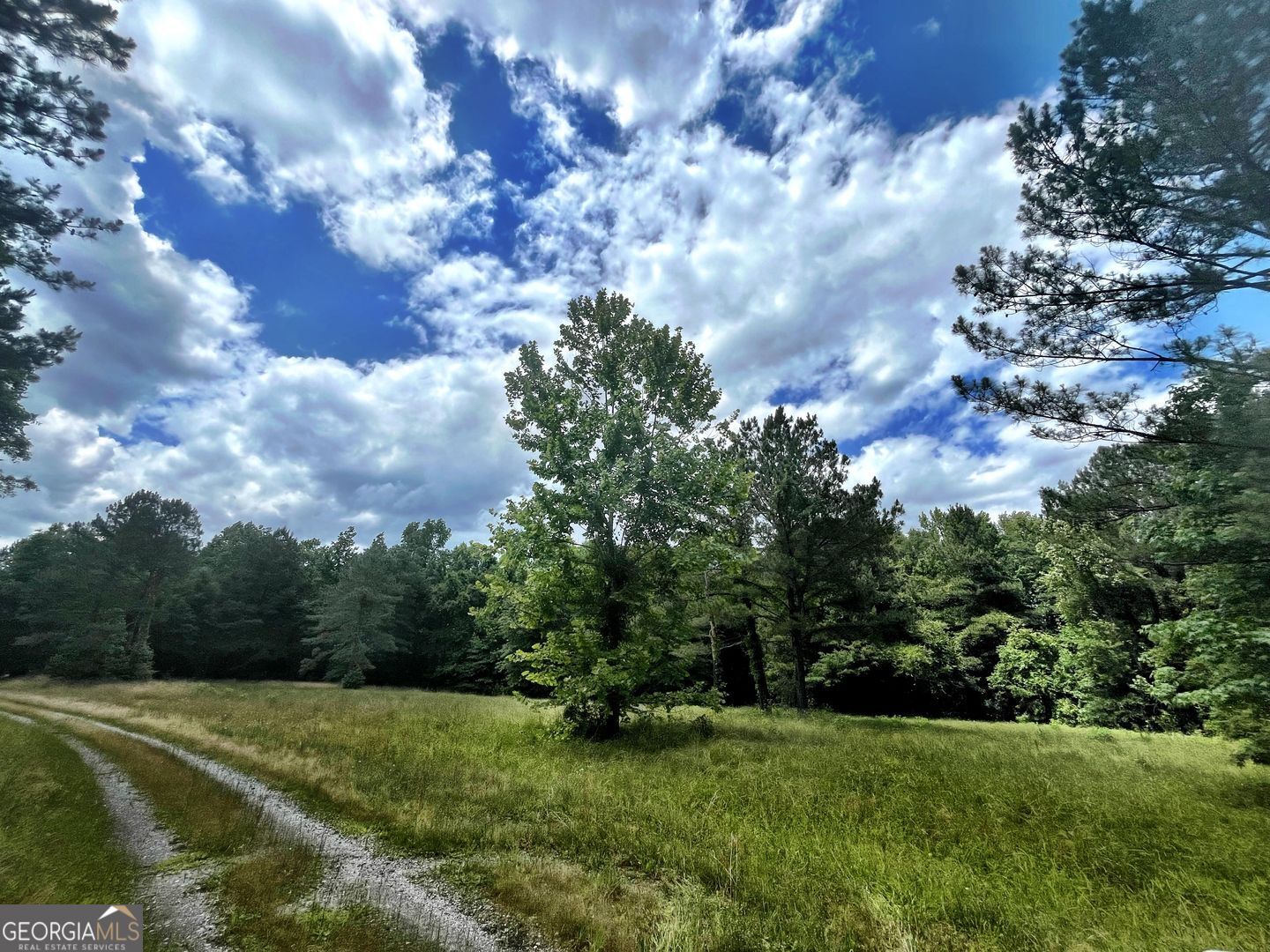 0 River Lane Juliette GA 31046