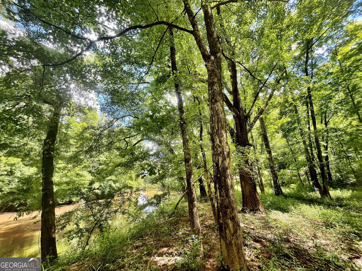 0 River Lane Juliette GA 31046