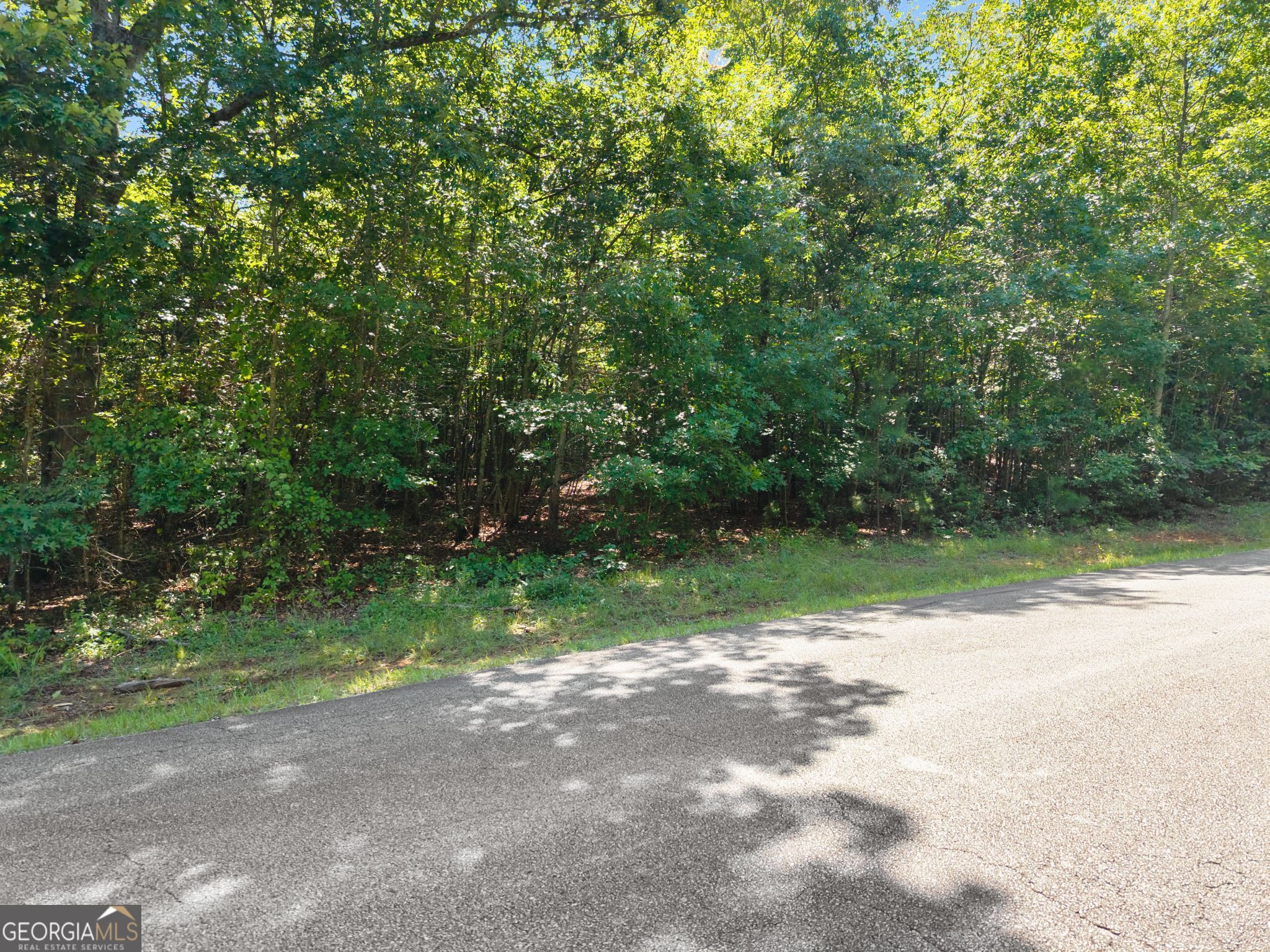 0 Highway 255 Cleveland GA 30528