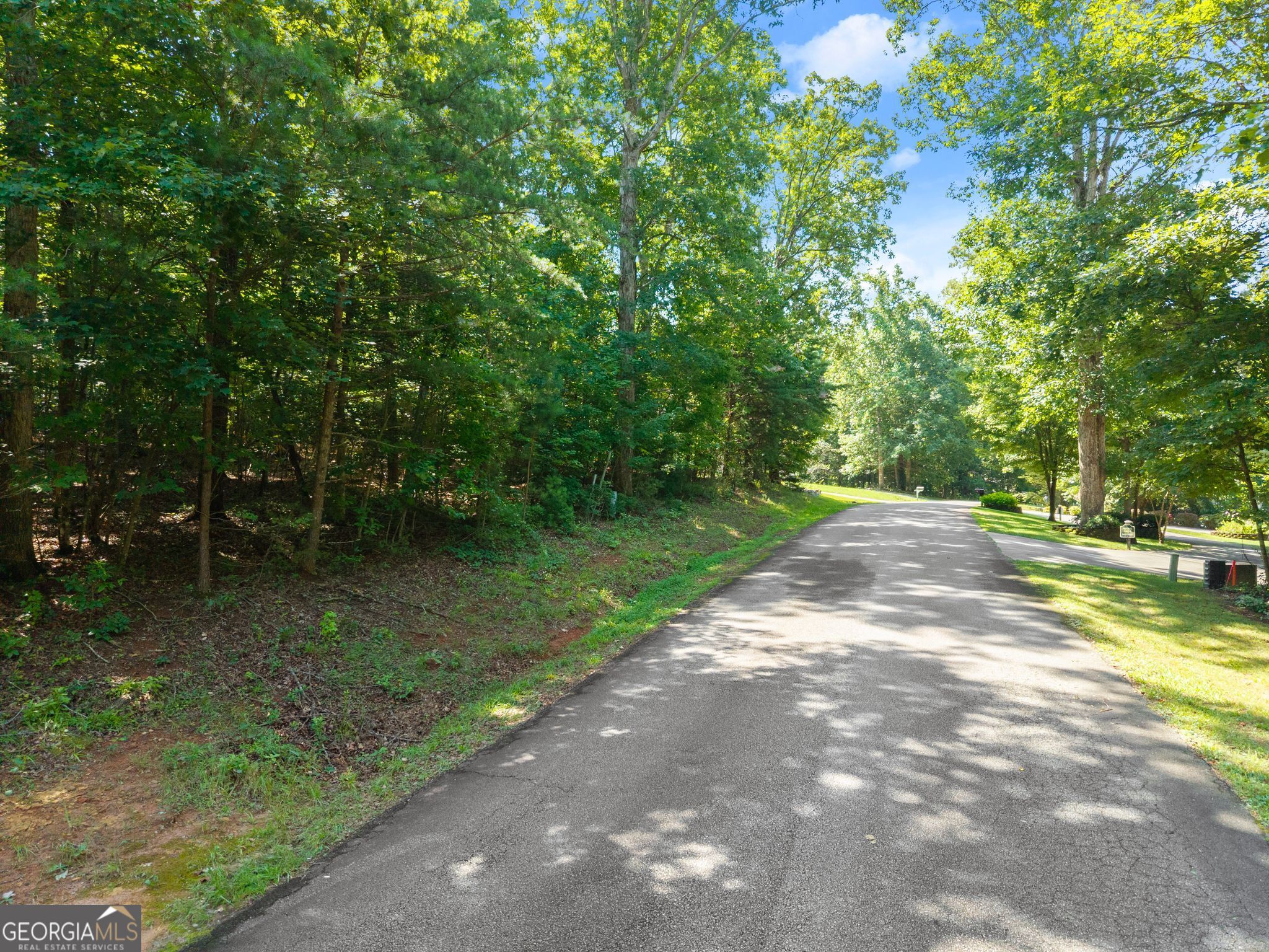 0 Highway 255 Cleveland GA 30528