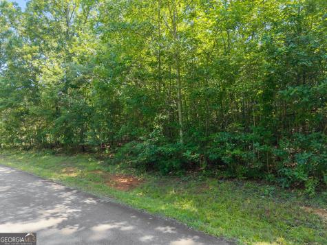 0 Highway 255 Cleveland GA 30528