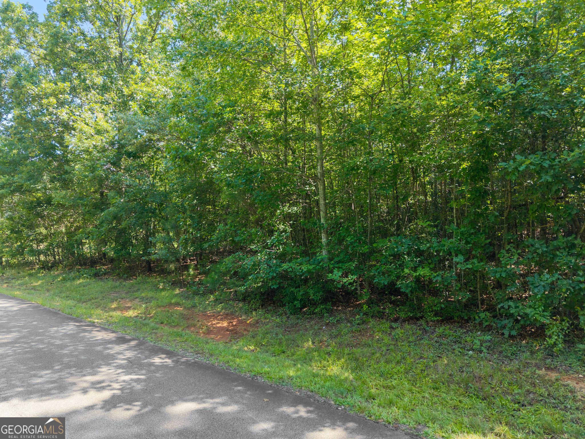 0 Highway 255 Cleveland GA 30528