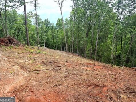 329 River Highlands Road Dahlonega GA 30533
