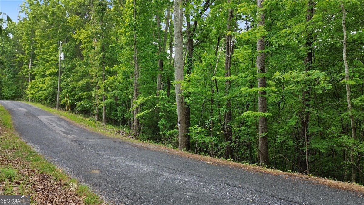 1563 Dover Circle Ranger GA 30734