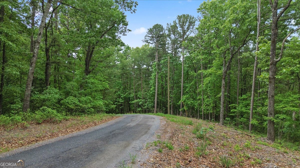 1563 Dover Circle Ranger GA 30734