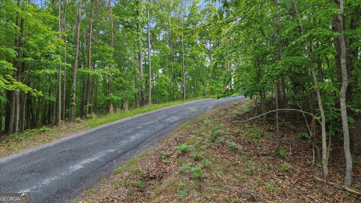 1563 Dover Circle Ranger GA 30734