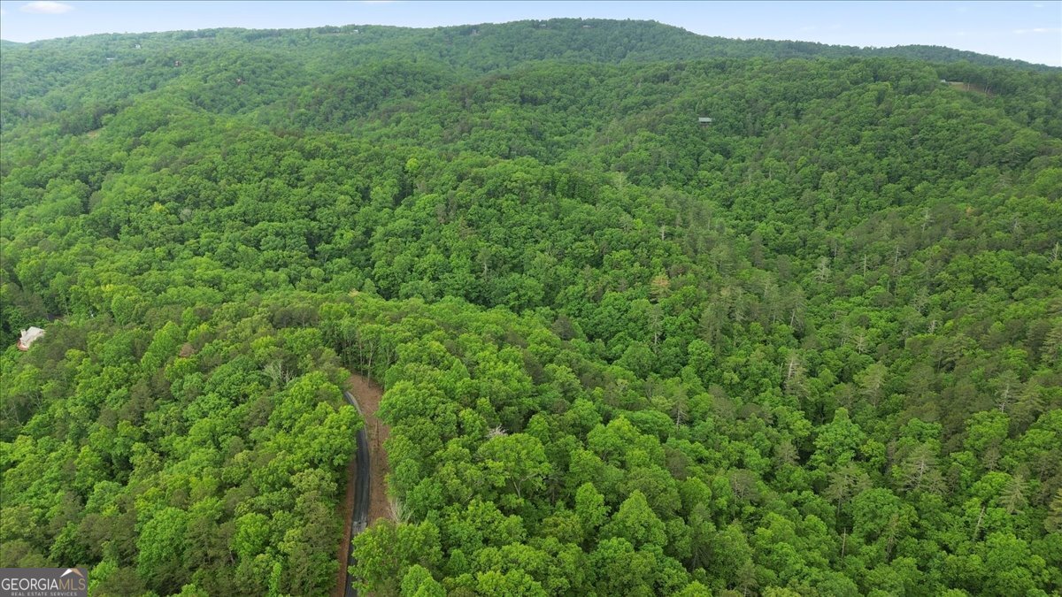 1563 Dover Circle Ranger GA 30734