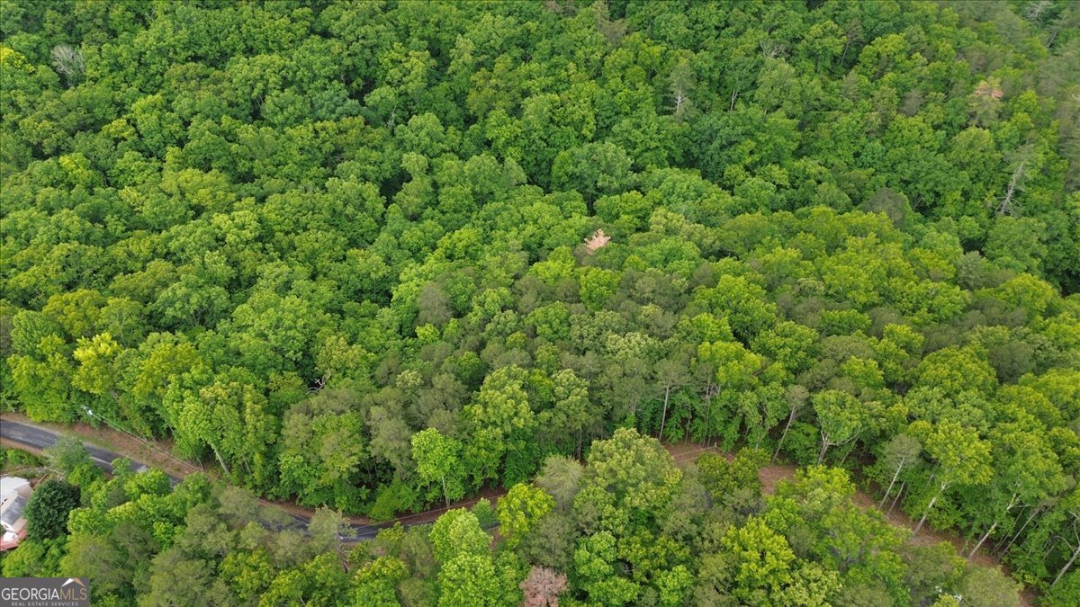 1563 Dover Circle Ranger GA 30734