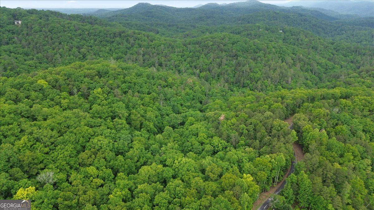 1563 Dover Circle Ranger GA 30734