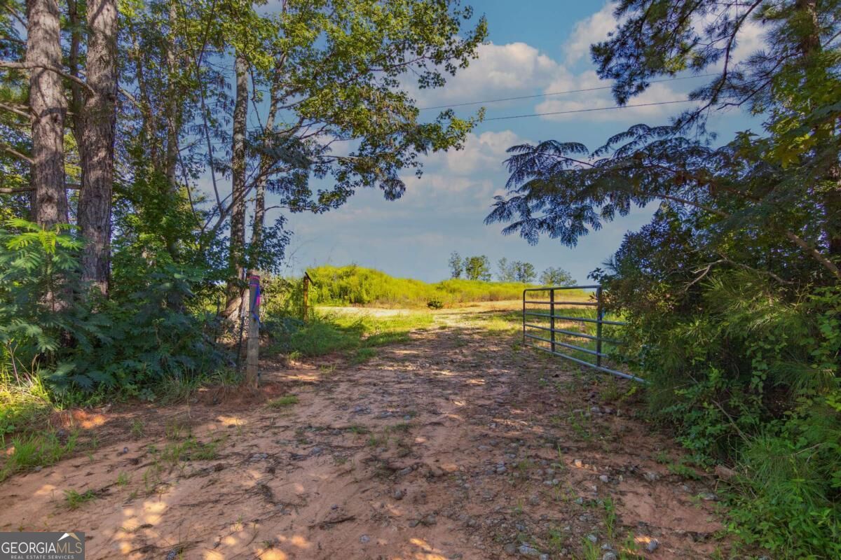 Tract 3 Highway 0036 Woodland GA 31836