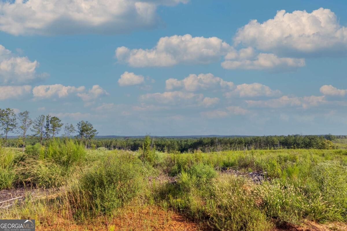 Tract 3 Highway 0036 Woodland GA 31836