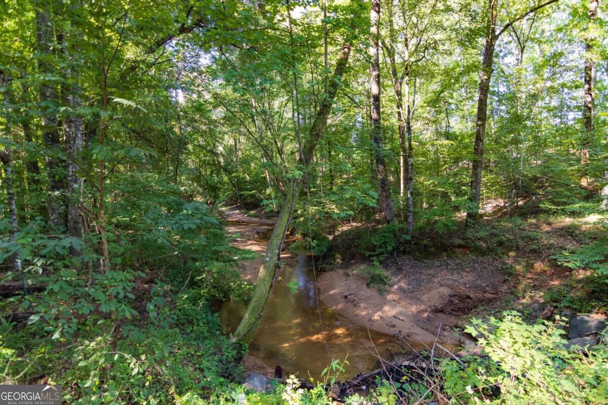 Tract 3 Highway 0036 Woodland GA 31836