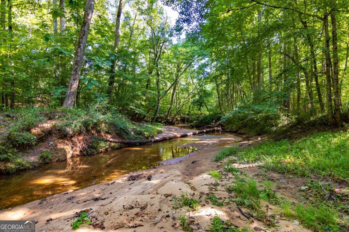 Tract 3 Highway 0036 Woodland GA 31836