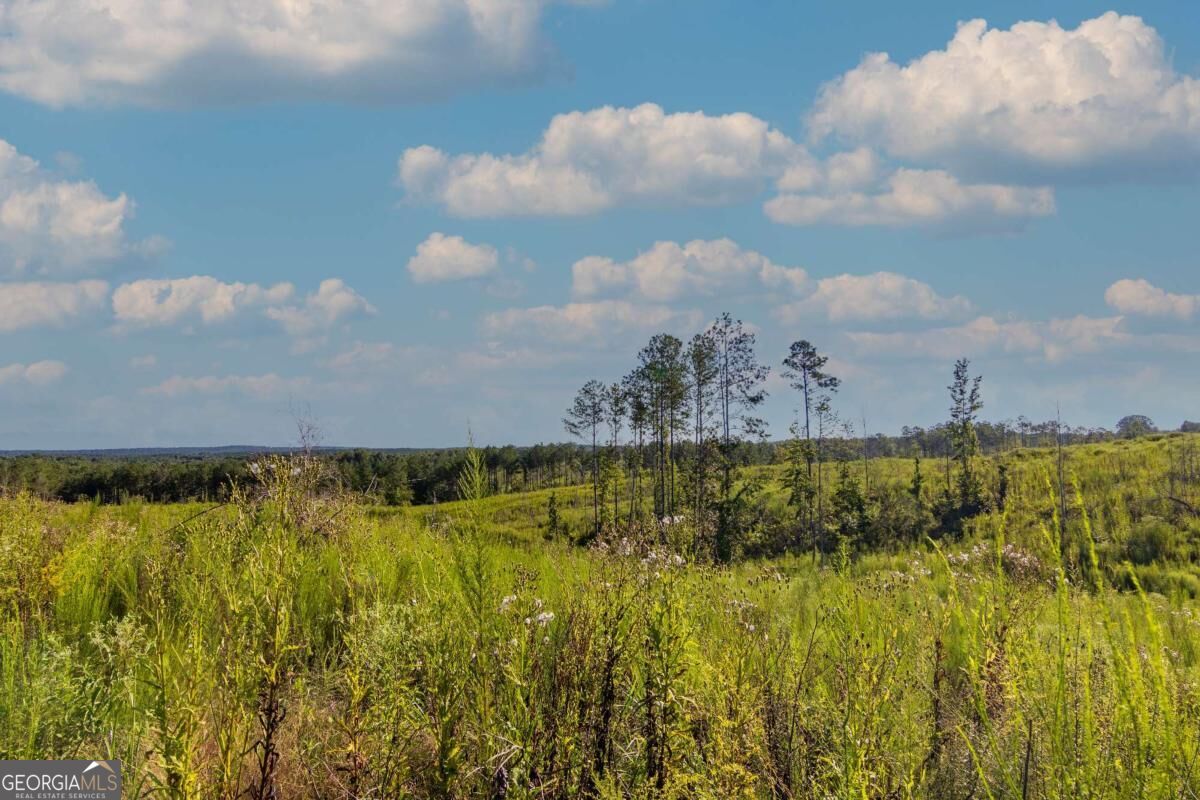 Tract 3 Highway 0036 Woodland GA 31836