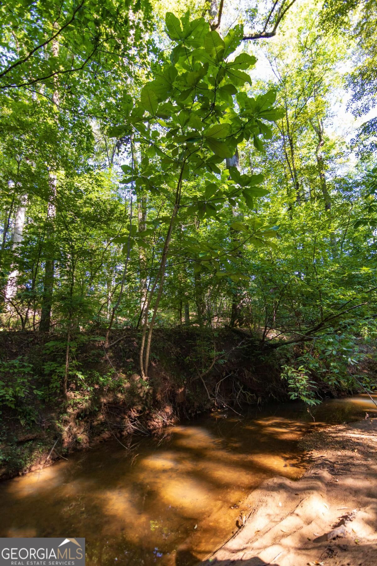 Tract 3 Highway 0036 Woodland GA 31836