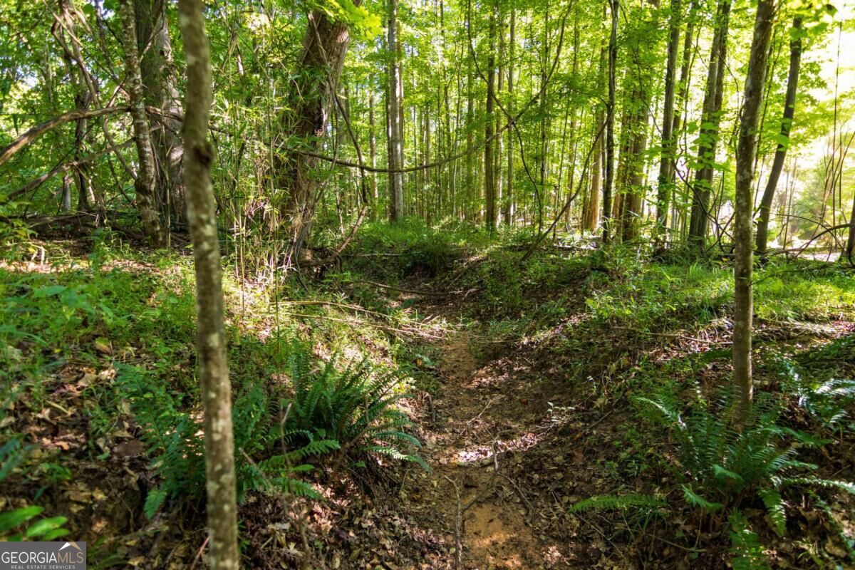 Tract 3 Highway 0036 Woodland GA 31836