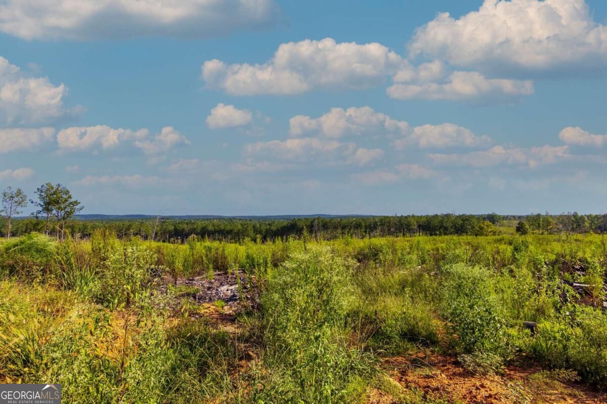 Tract 3 Highway 0036 Woodland GA 31836