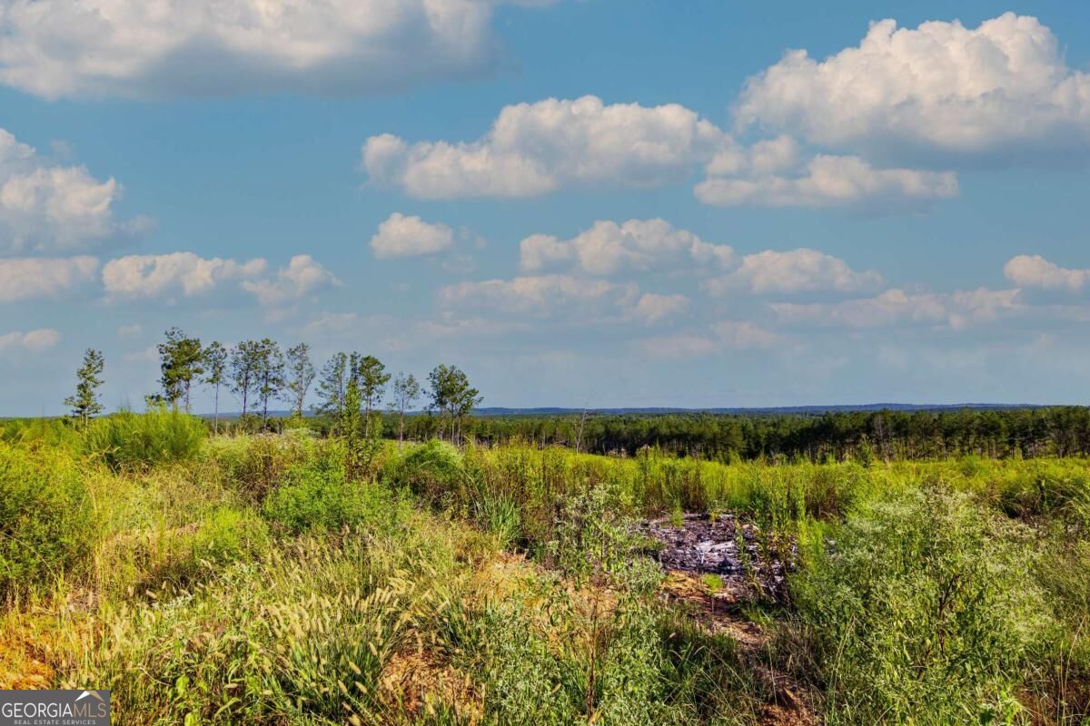 Tract 3 Highway 0036 Woodland GA 31836