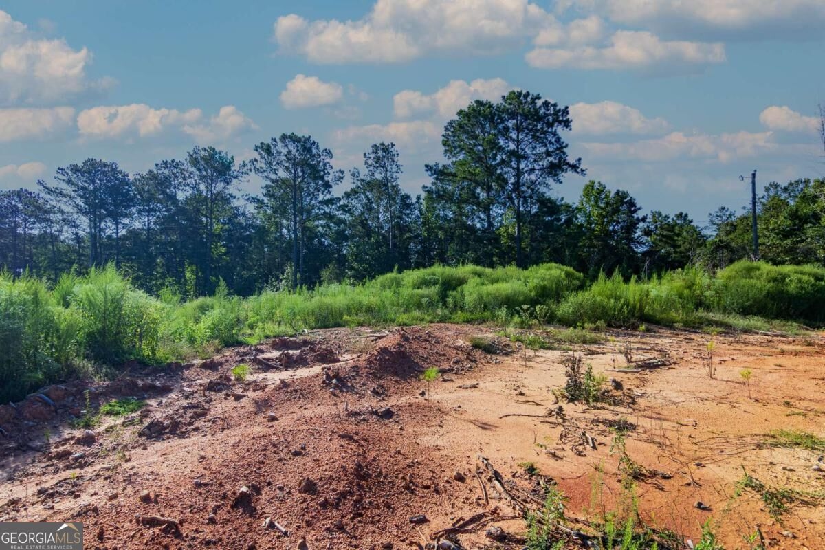 Tract 3 Highway 0036 Woodland GA 31836