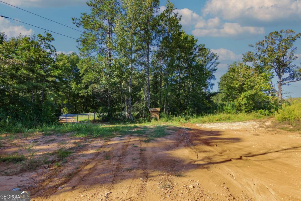 Tract 3 Highway 0036 Woodland GA 31836