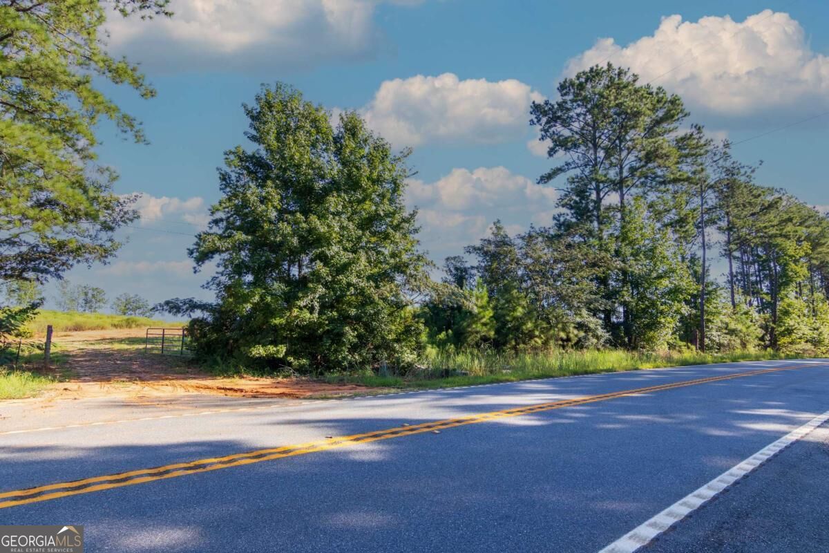 Tract 3 Highway 0036 Woodland GA 31836