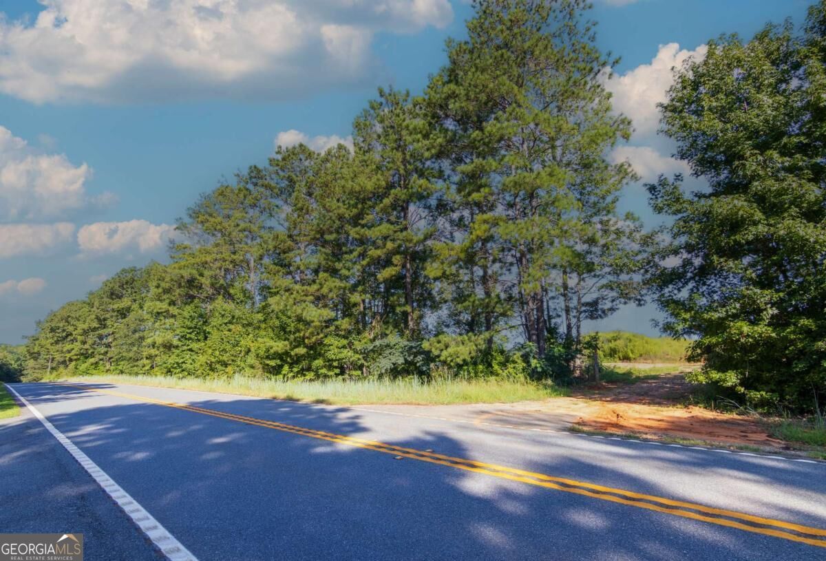 Tract 3 Highway 0036 Woodland GA 31836
